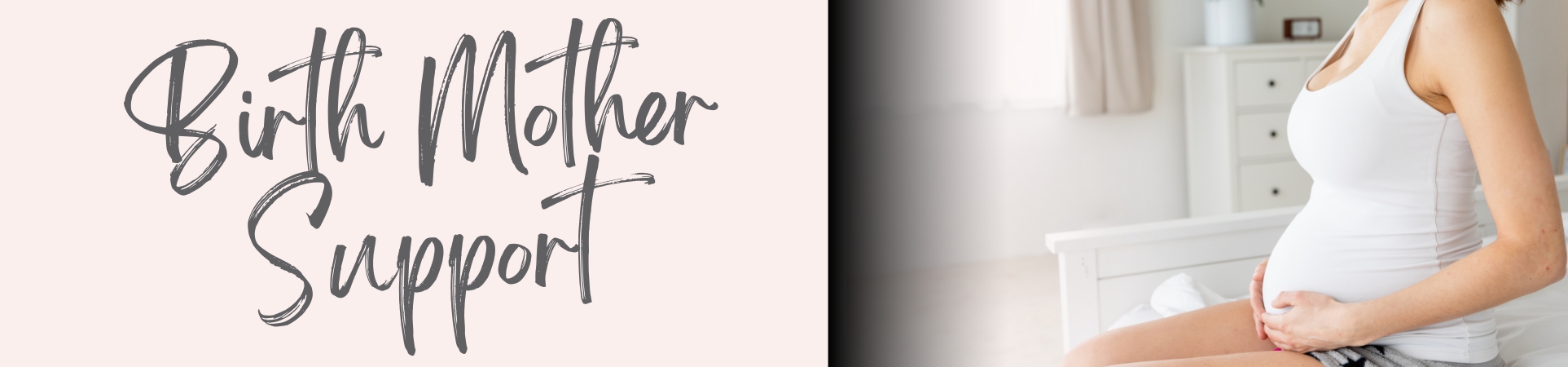 Birth Mother Support