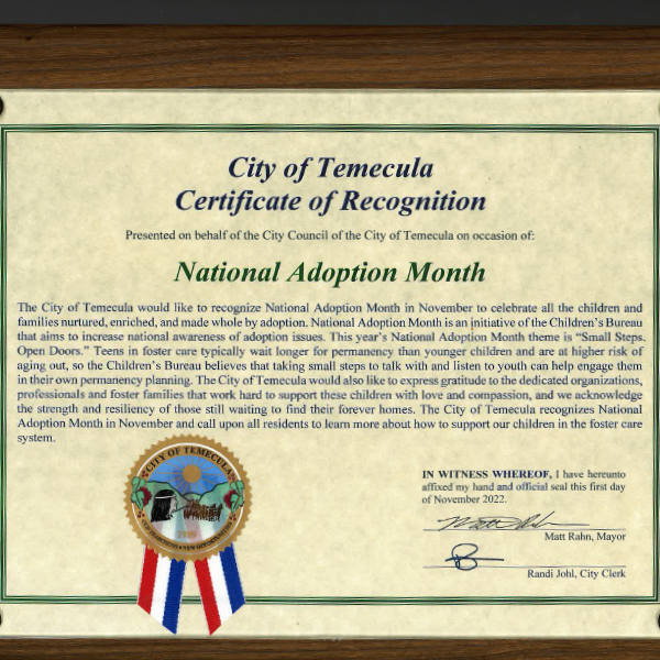 Hague Accreditation
