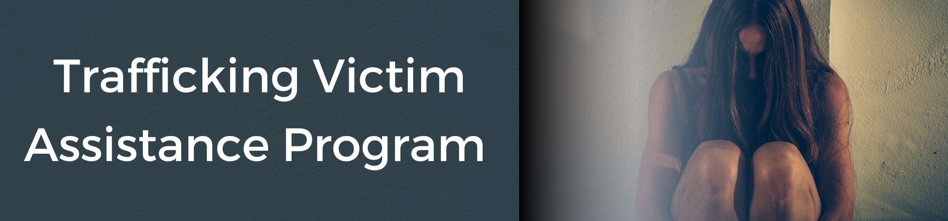 Trafficking Victim Assistance Program